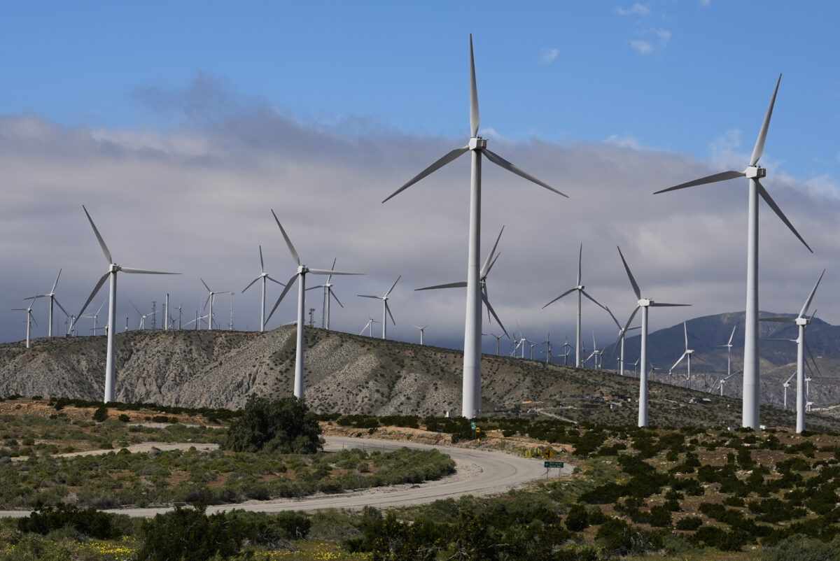 Global Wind Report: 2023 was a record year for wind installations