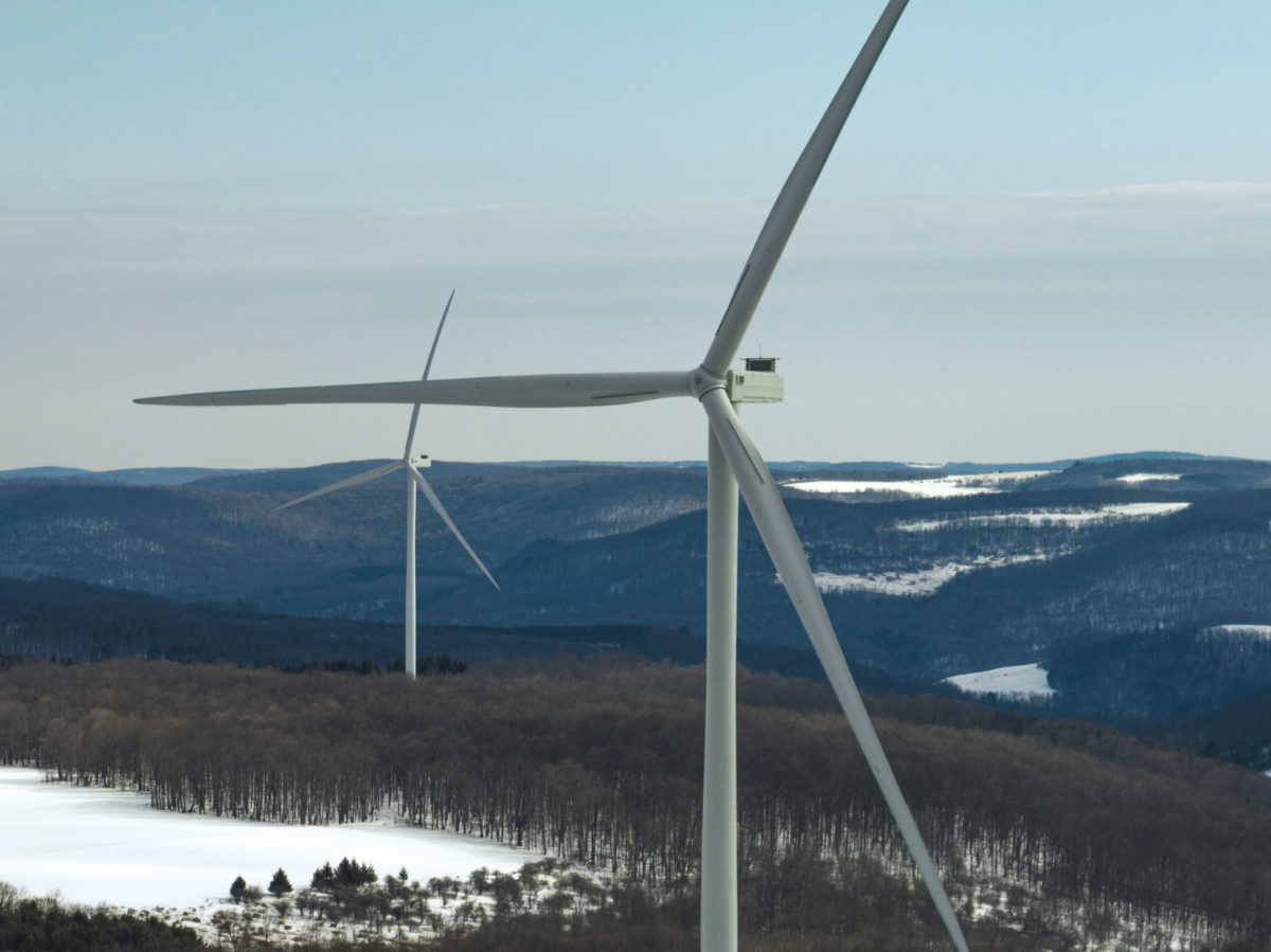 New York Power Authority pre-qualifies 79 renewable developers, investors