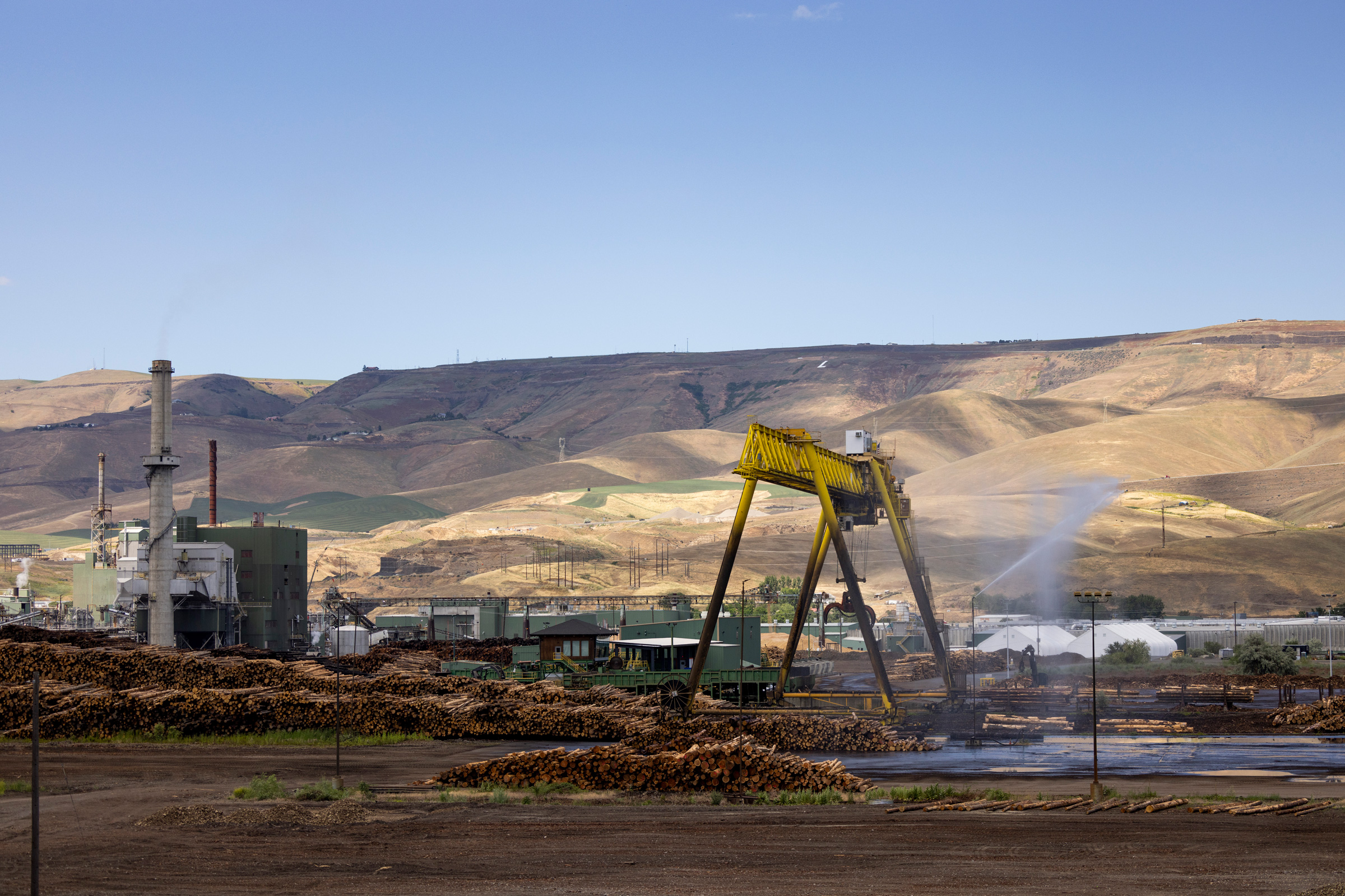 The Clearwater Mill sits along the Snake River in Lewiston, Idaho on June 10, 2024.