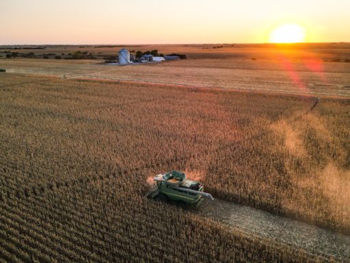 Ethanol isn’t as green as you might think, researchers say