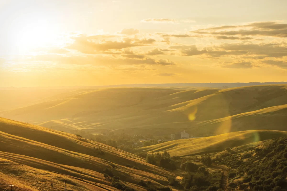 How the Nez Perce are using an energy transition to save salmon